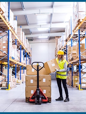 internationalline-almacen